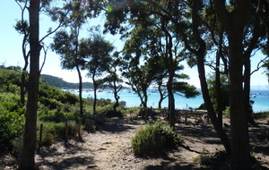 Flottille ELBE et CORSE 2026 du 22 juin au 15 juillet 2026