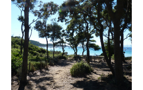 Flottille ELBE et CORSE 2026 du 22 juin au 15 juillet 2026